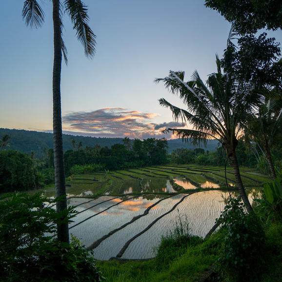 Amankila, Indonesia - Rice Fields, Sunset