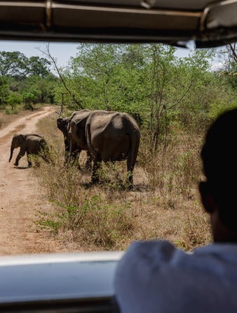 Amangalla, Sri Lanka – Experience, Udawalawe Elephant Safari Game Drive