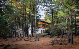 amankora-bhutan-paro-lodge-exterior-pine-forest.jpg
