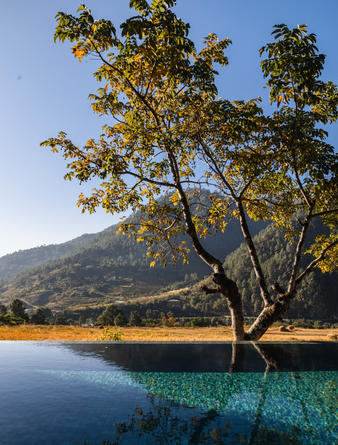 amankora-bhutan-punakha-lodge-heated-infinity-swimming-pool.jpg