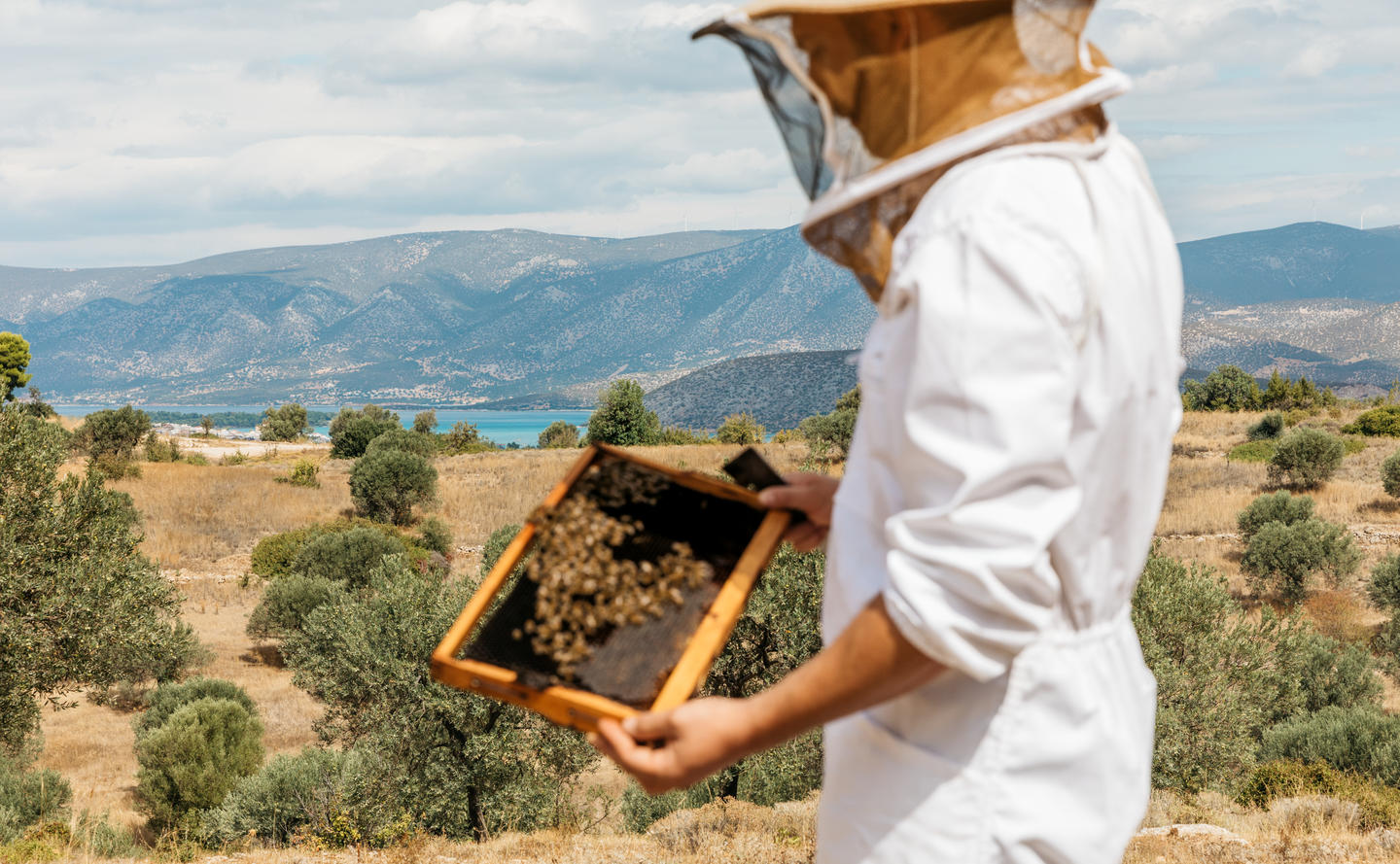 Amanzoe Bee Museum & Olive Oil 