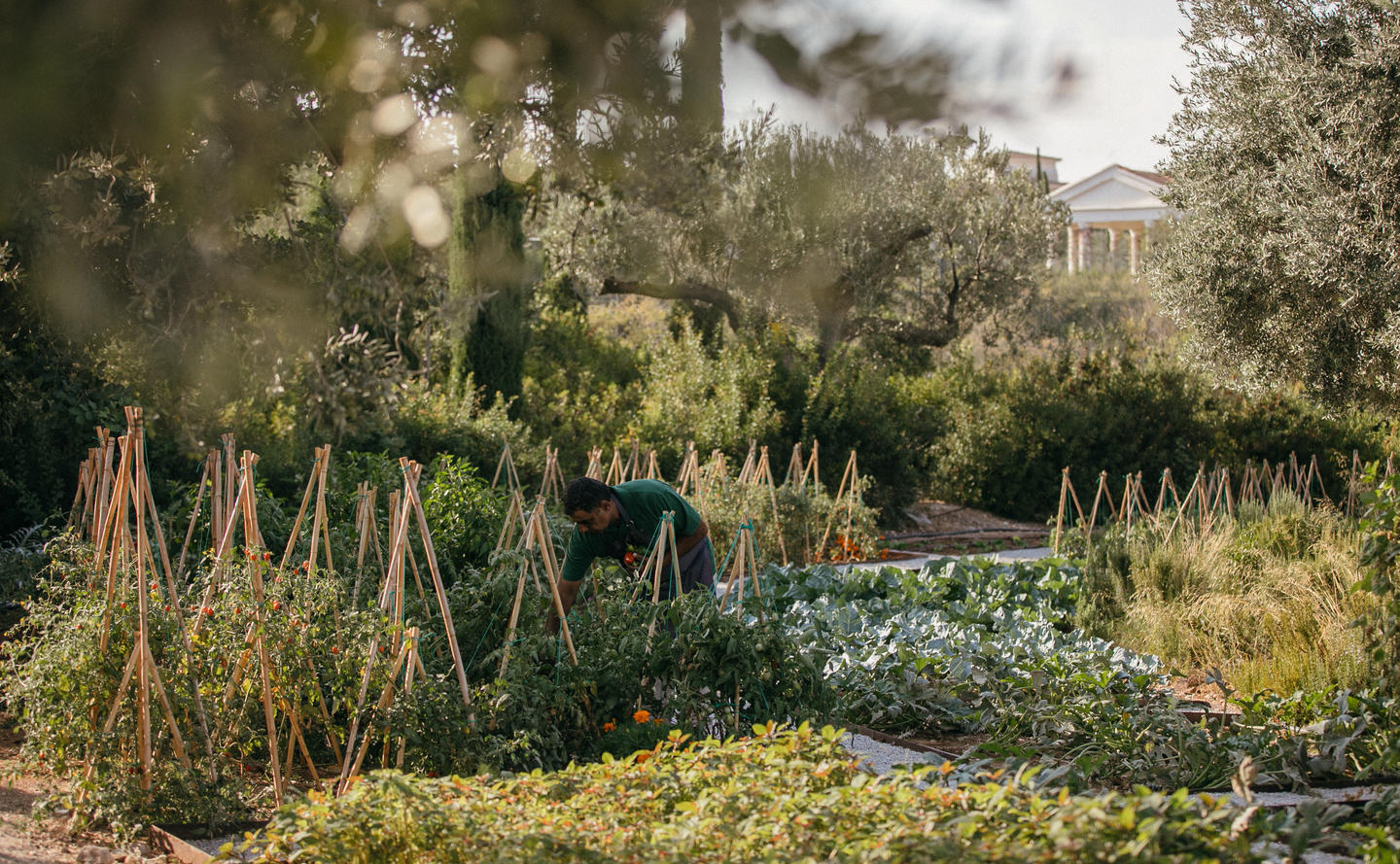 Amanzoe Organic Garden