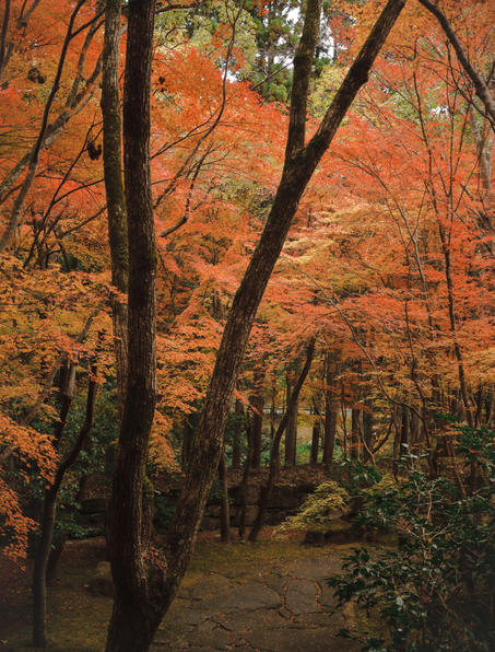 aman_kyoto_japan_-_garden_-_autumn